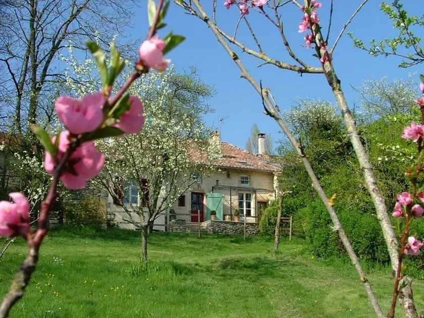 Casa rural encantadora entre Verdún y Bar-le-Duc con jardín, terraza y opciones de servicio. - Image 1