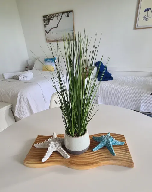 Dolphin Heads - Resort Unit - Absolute Beachfront! - Whitsunday Getaway! - Image 1