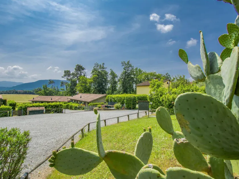 Ferienhaus I Pini by Interhome - Image 1