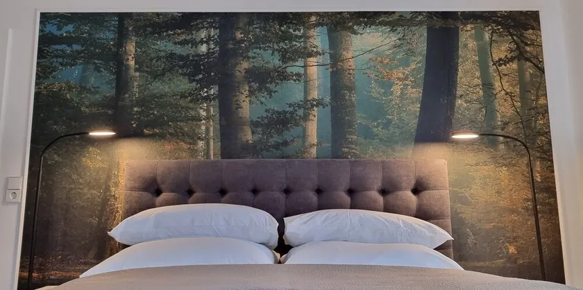 NEW Stylish vacation apartment *time out*2-6 pers. at the edge of the forest near Potsdam/Berlin - Image 1