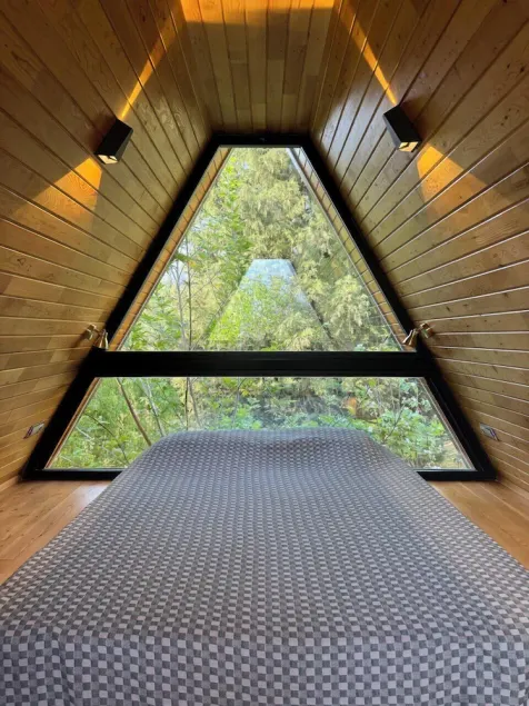 Trinitys Forest Bungalows - Image 1