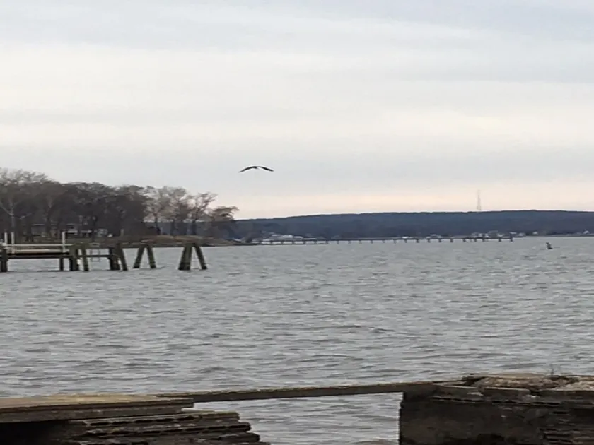 *** NYTT RENOVERAD **** Escape till en vacker semester på Chesapeake Bay. - Image 1
