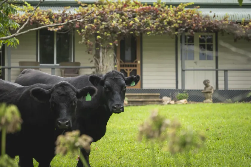 Be amongst nature in the 1890s farmhouse - a time you will never forget. - Image 1