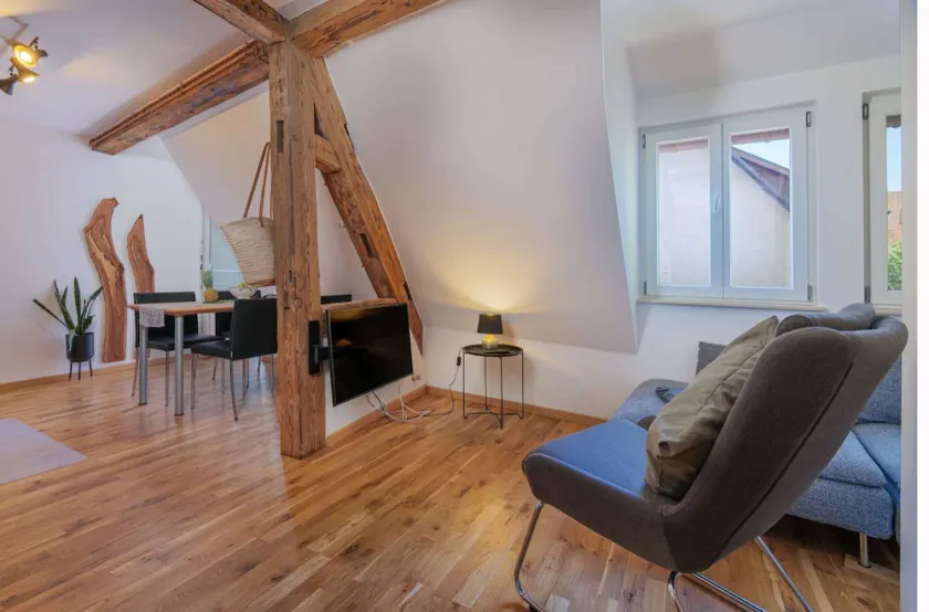 Modern Apartment with lift up, for 4 pers, 1 bedroom, 1 couch, historical building - Image 1