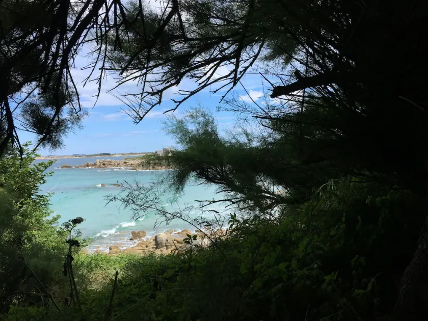 Sødt bretonsk hus, Ocean på 5 min, lukket have, ro, afslapning, natur ,. - Image 1