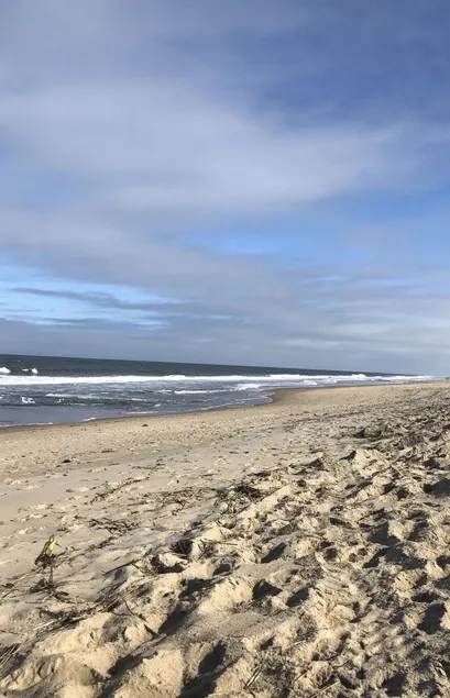 Simple Family Beach house: one floor & steps to ocean.  V. close beach location - Image 1