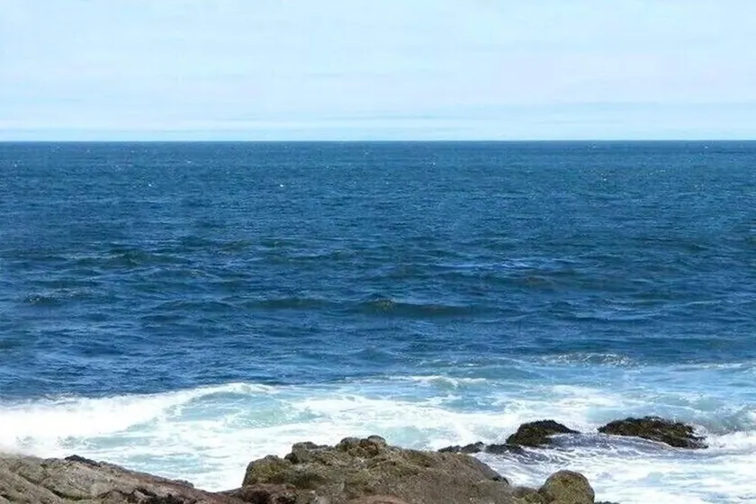 Bar Harbor Panoramic Oceanfront for Your Whole Family! Kids and Dogs Love It! - Image 1