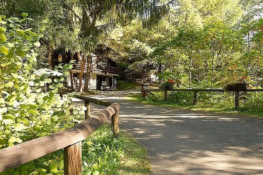 Feriendorf Reinskopf in der Eifel - Image 1