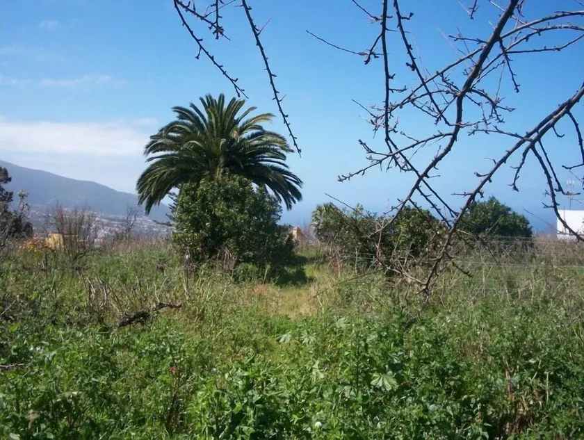 La Casita i La Orotava - Image 1
