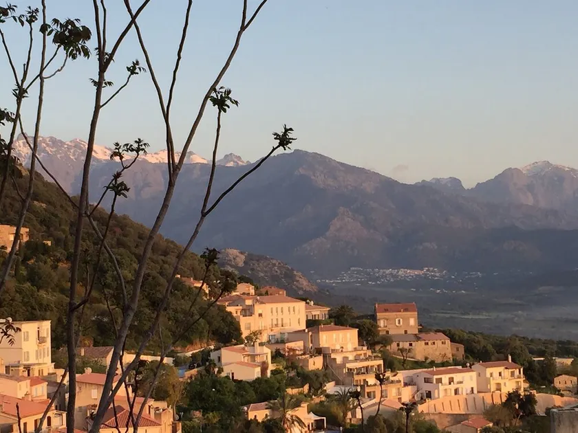 Studio for rent in LUMIO in BALAGNE - Image 1