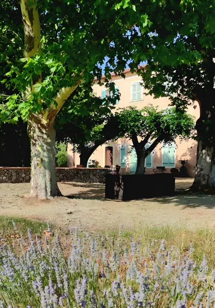 Charmant gite provençal indépendant avec piscine privée & grand parc - Image 1
