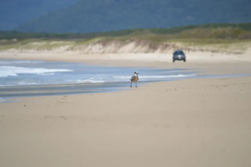 Mozamba Surf House - House for 5 people near the beach. - Image 1