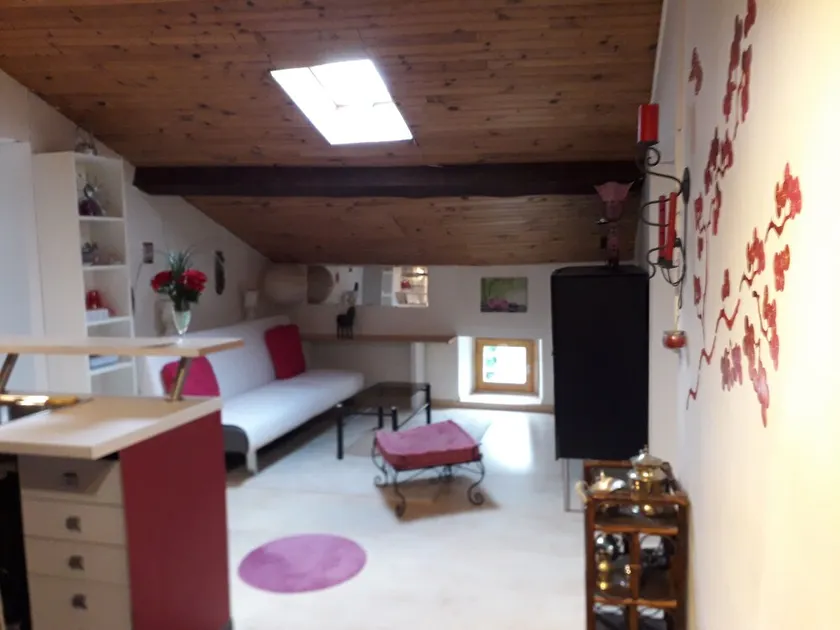 T 3 attic in character house - Image 1