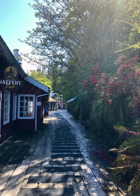 The Outlook at Telegraph Cove, a place to relax, rejuvenate and unwind - Image 1