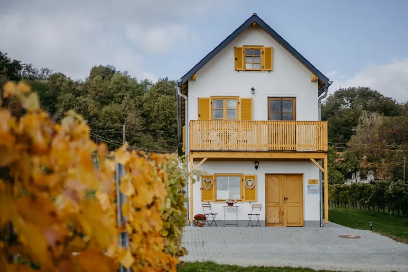 Cozy Kellerstöckl in the middle of the vineyards - Image 1
