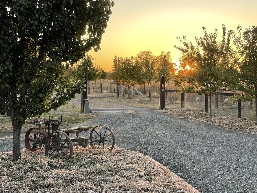 Peaceful & Picturesque Farm Stay Only 5 Mins Drive From Benalla Township - Image 1