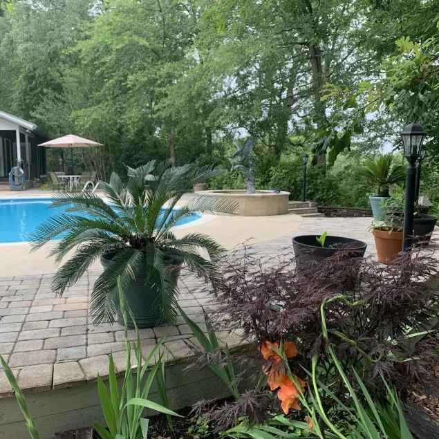 CLOSE TO THE BEACH, BEAUTIFUL ESTATE, SOUTHERN HOSPITALITY - Image 1