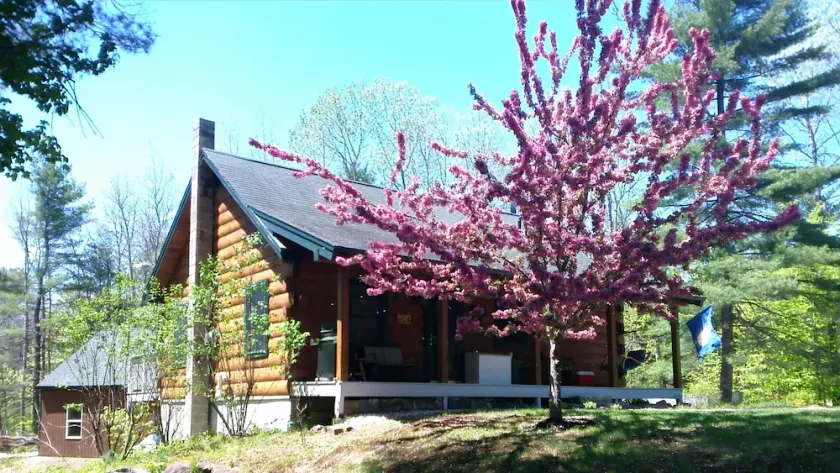 MOOSE LODGE Smuk bjælkehus i nærheden af Ossipee Lake - Image 1