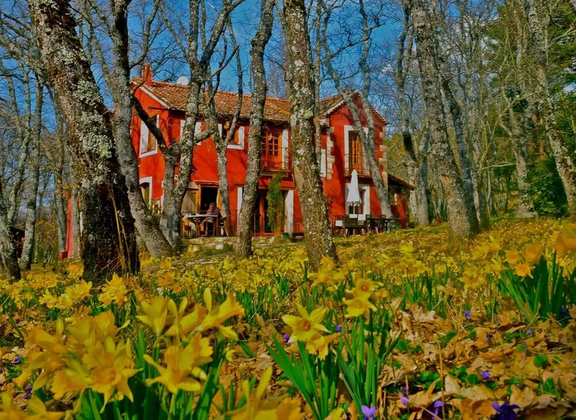 A magical house in the heart of Guadarrama Park - Image 1