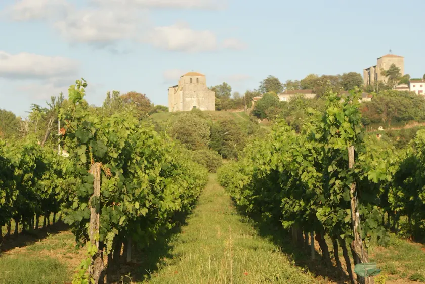 Njut Panorama, Pool Paradise! Nr St Emilion, som gränsar till det gamla klostret - Image 1