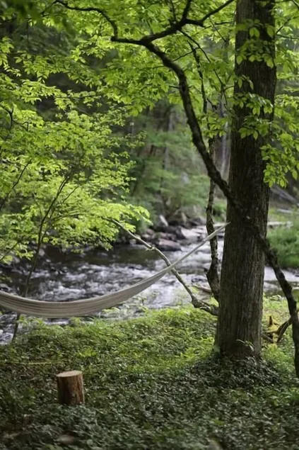 Private Riverfront Catskills Retreat w/ Hot Tub - Image 1