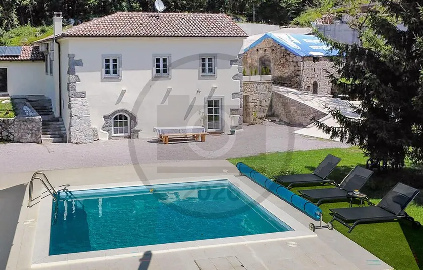 Pet friendly home in Zvoneca - Image 1
