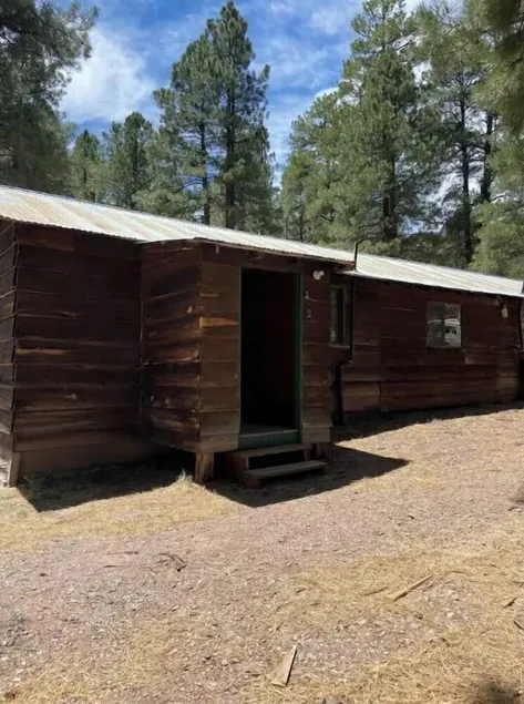 Quaint Country Cabin in the tall pines AlpineAZ #2 - Image 1
