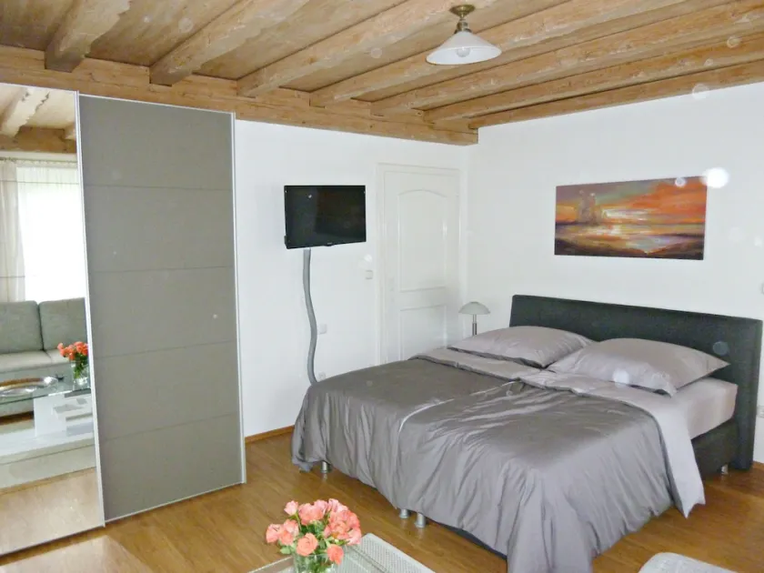 Ferienappartement in der Wolfsgrube-Rambichler - Image 1