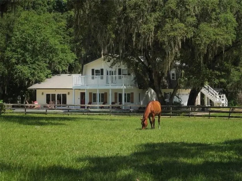 New! Stunning 10 ac Ocala Farm-WEC, HITS, SilverSprings, hour to Gainesville/ UF - Image 1