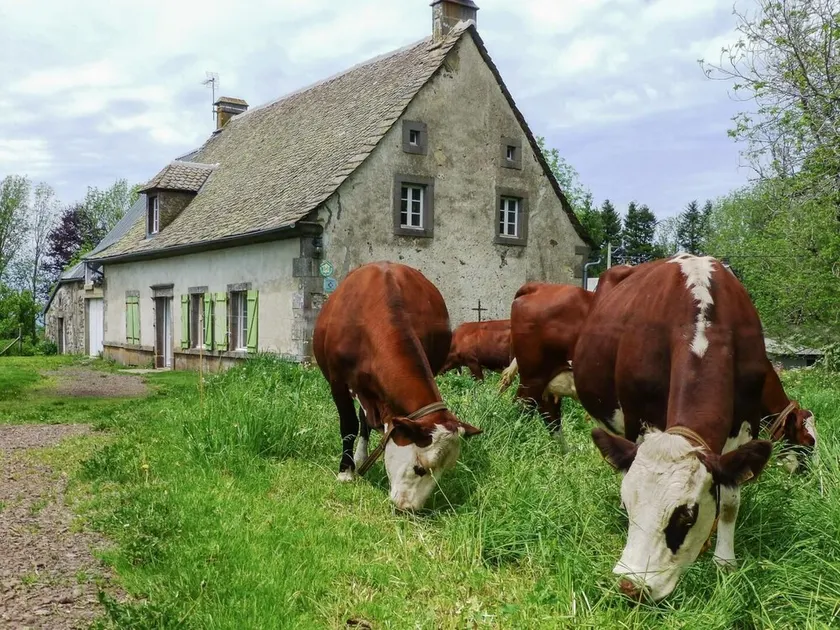 Le Gîte de la Chaleille - Image 1