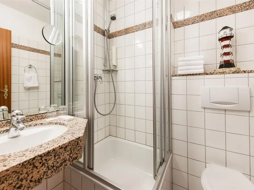 Double room, shower, toilet, Classic - Hotel Birke - Image 1