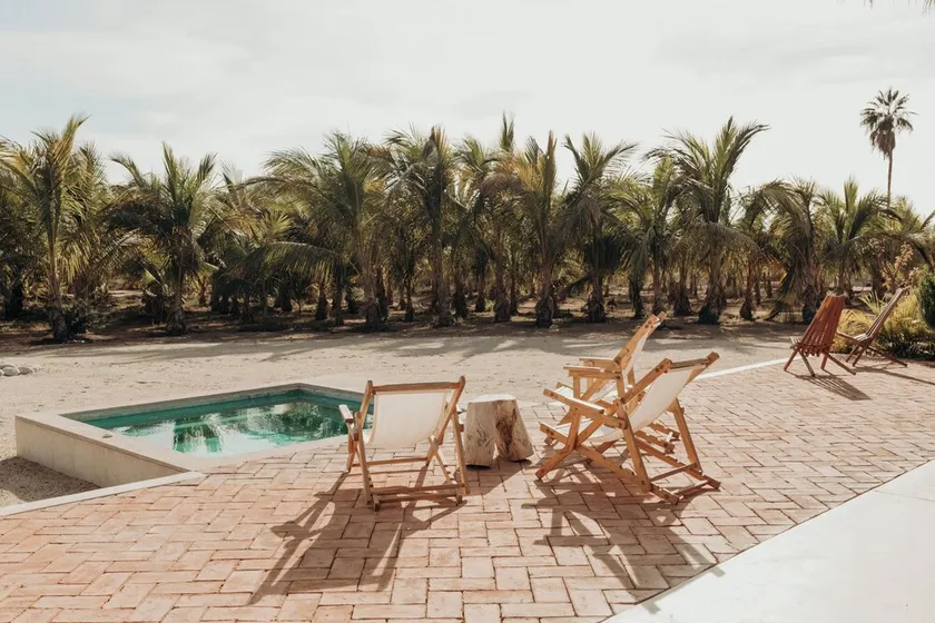 Proyecto Palmita - Image 1