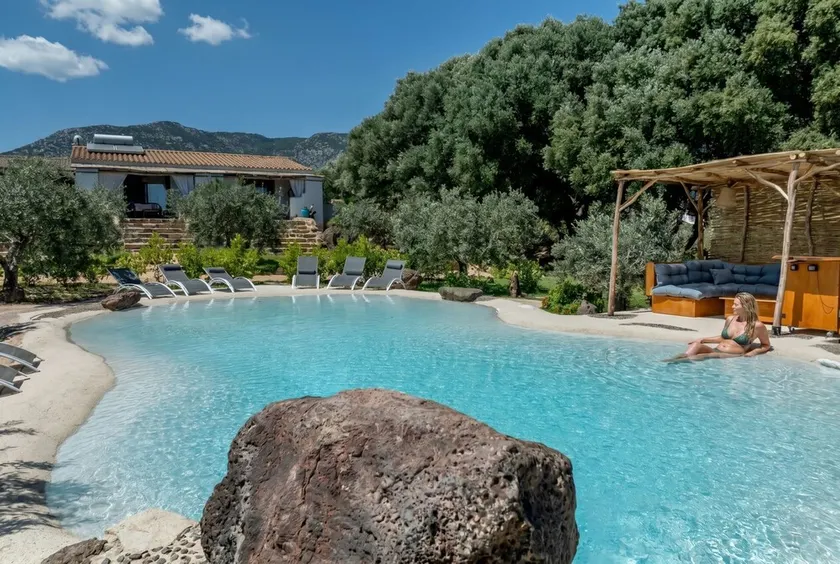 Olivens paradis E - Image 1