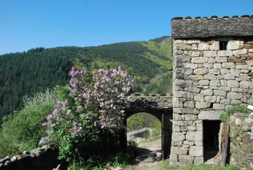 Mas située au cœur du parc national des Cévennes - Image 1