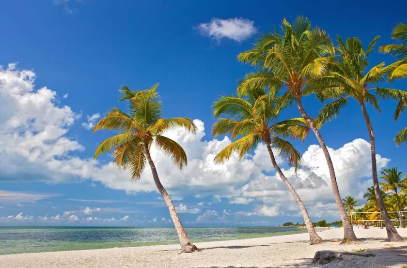 Tropical Dreaming by AvantStay - Image 1