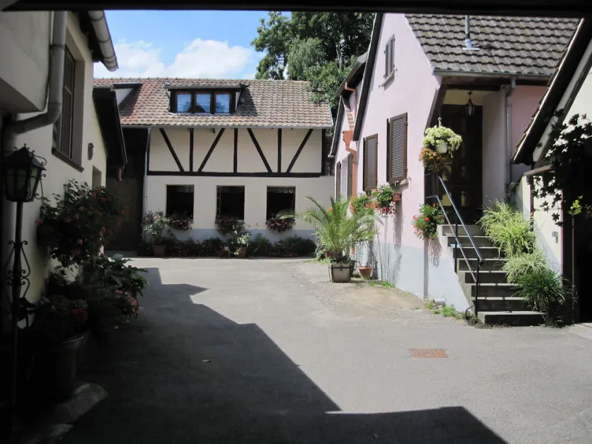NEL CUORE DELL'ALSACE. GITE DU FLORIMONT 4 * 5 PERS.<br> PERCORSO DEL VINO - Image 1