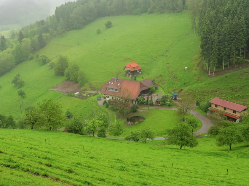 Cosy farmhouse apartment at the edge of the forest - Image 1