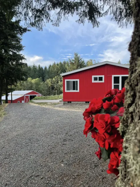 Secluded property on 14 forested acres, 18 minutes to U of O. - Image 1