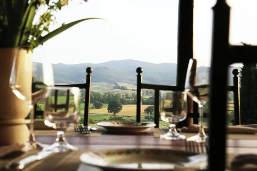 Stunning estate + winery operating as two luxury villas + infinity pool - Image 1