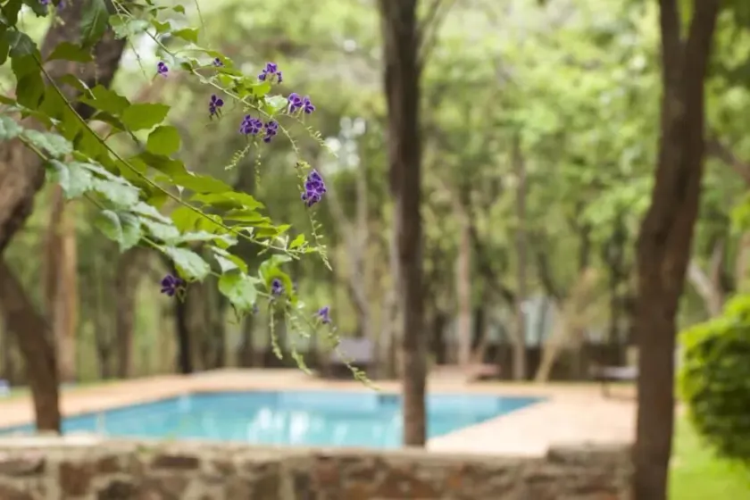 Woodlands Lilongwe - Image 1