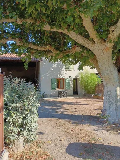 Cabaña de dos plátanos entre Alpilles y Luberon - Image 1