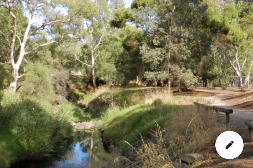 The View of Nature - Image 1