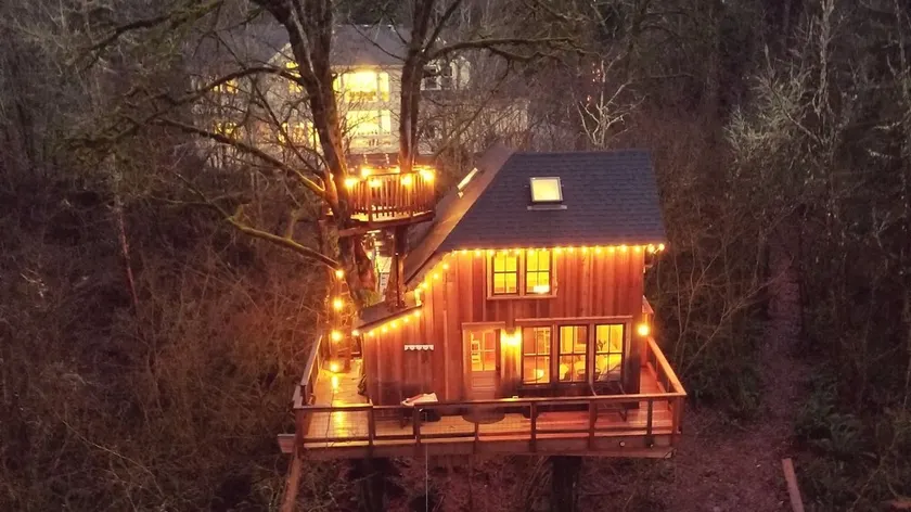 Emerald Forest Treehouse - From Treehouse Masters - Image 1