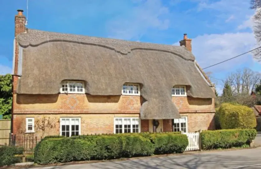 The Thatched Cottage Cranborne near The New Forest - Image 1