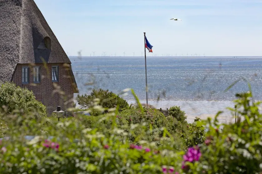 Ferienhaus für die Familie in Strandnähe - Image 1