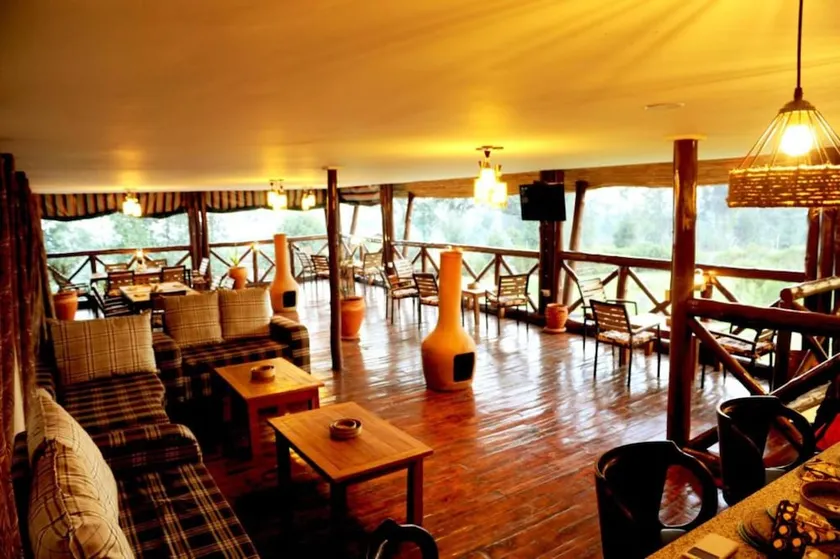Da Vinci Gorilla Lodge - Image 1