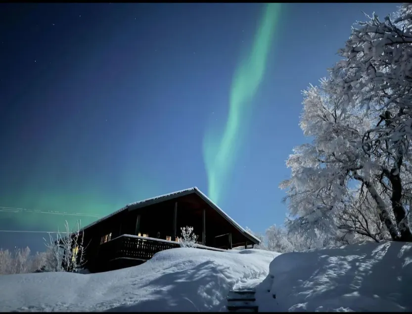 Perfect cabin for relaxing and privacy.   - Image 1