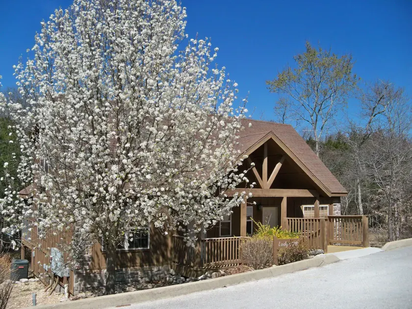 \"Woodland Romance\" 1Br Cabin, Husdjur, Fiske, Golf, Inomhuspool, Lekplats, FUN! - Image 1
