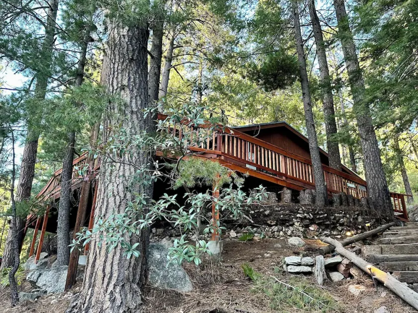 Cozy Cabin in the Pines - Image 1