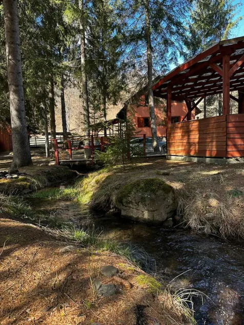 Private vacation home in the middle of the Harghita mountains surrounded by - Image 1
